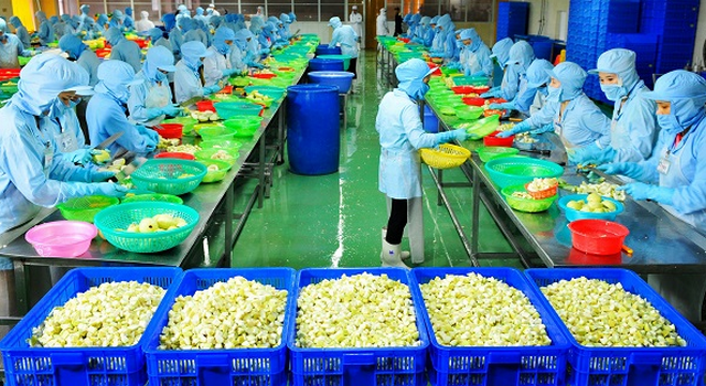 Tuyển gấp 10 Nam/Nữ xuất khẩu lao động chế biến thực phẩm đóng hộp hoa quả tại Nhật Bản